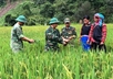 Vietnam’s imprints in promoting and protecting human rights (Part 2)
